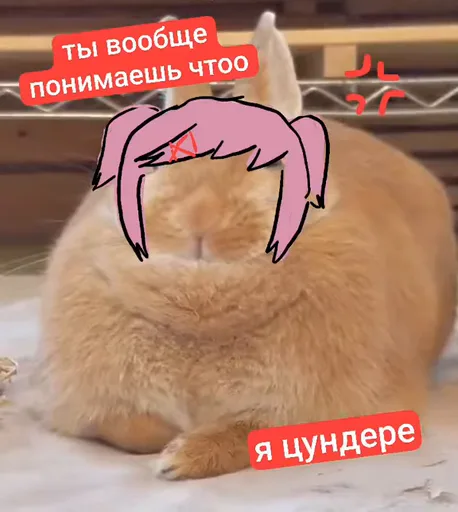 Рыжий кролик с наложенными розовыми волосами и надписями «ты вообще понимаешь чттоо» и «я цундере».