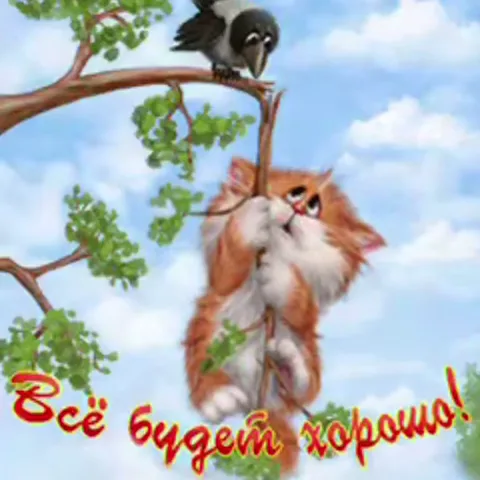 Мемная открытка с рыжим котом, который держится за ветку под взглядом птицы, и надписью о том, что всё будет хорошо.