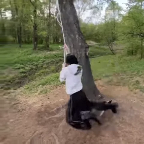 В лесу человек подпрыгивает к верёвке на дереве и раскачивается на ней.
