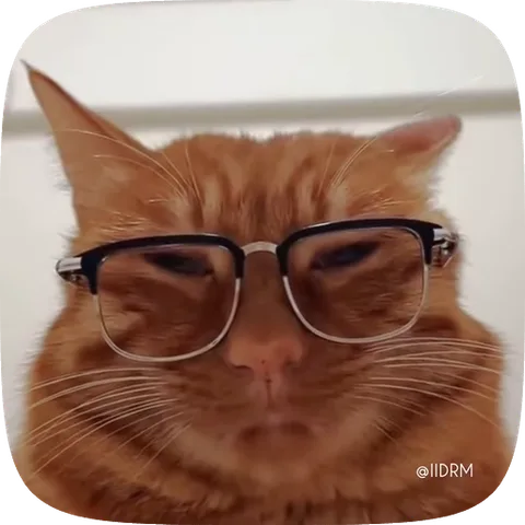 Крупный план рыжего кота в прямоугольных очках, который слегка двигает головой и смотрит прямо перед собой с важным видом.