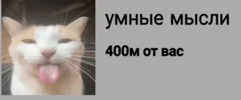 Анимация рыжего кота с высунутым языком и текстом о приближении умных мыслей.