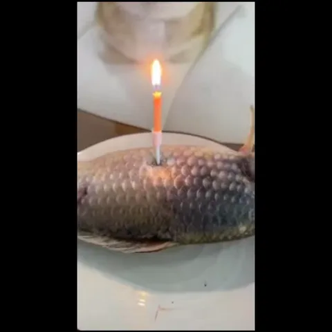 Полосатый рыжий кот в розовой конусной шапке с надписью Happy Birthday смотрит на сырую рыбу на белой тарелке, в которой горит одна тонкая свеча.