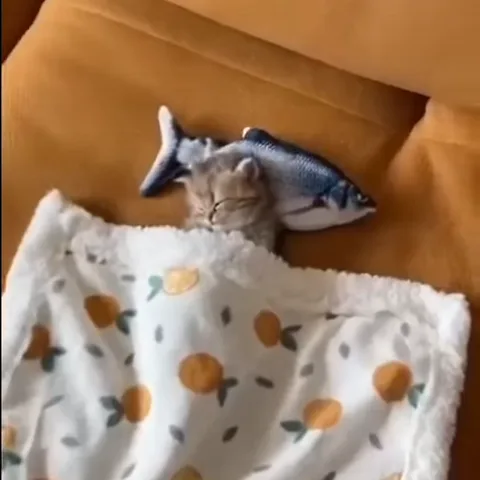Спящий котёнок под одеялом обнимает подушку-рыбу на диване.