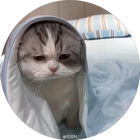 Котёнок в голубом одеяле грустно смотрит.