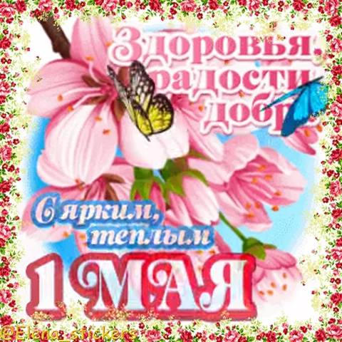 Ветка розовых цветов на голубом фоне, украшенная летящими бабочками и текстом «С ярким, теплым 1 МАЯ».