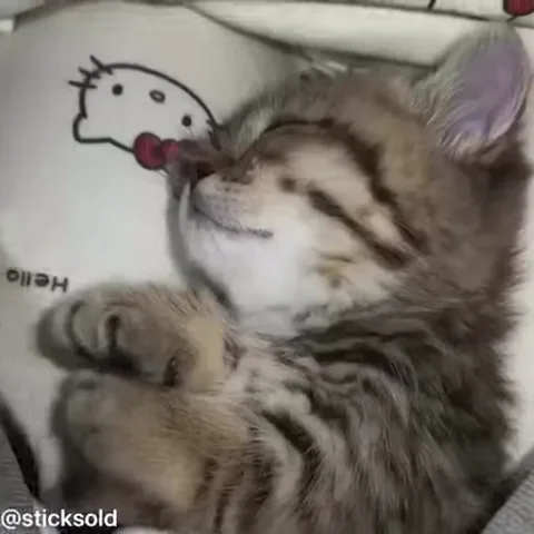 Спящий полосатый котёнок на подушке с изображением Hello Kitty