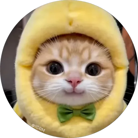 Круглый стикер с рыжим котёнком в жёлтом костюме цыплёнка, который моргает и открывает рот.