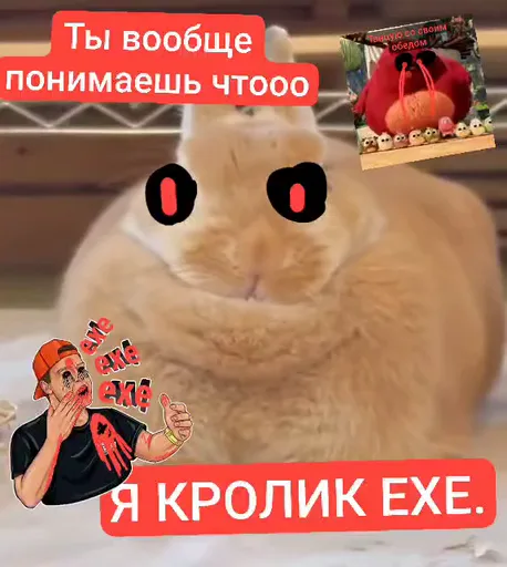Рыжий кролик крупным планом, поверх которого добавлены черные глаза-кружки и стикеры с текстом.