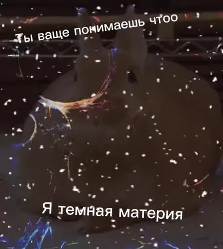 Пушистый зверёк с эффектом глитча и текстом про тёмную материю