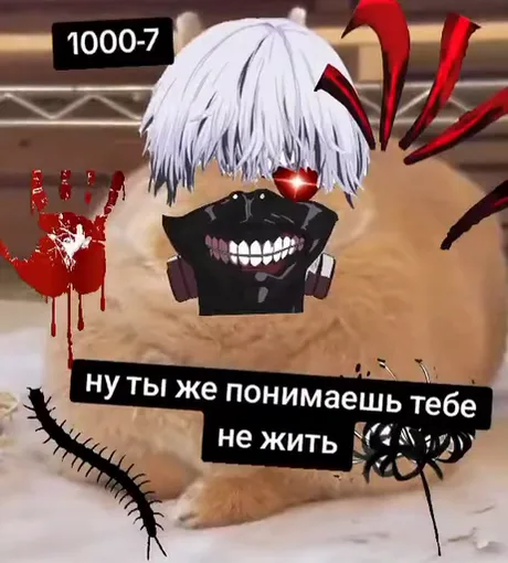 Анимация с текстом «ну ты же понимаешь тебе не жить» поверх фото рыжего кота и лица аниме-персонажа в маске.