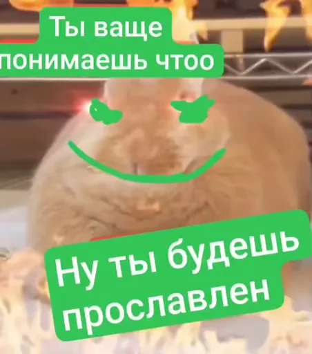 Анимация рыжего кота с нарисованным лицом на фоне пламени и текстом про славу.