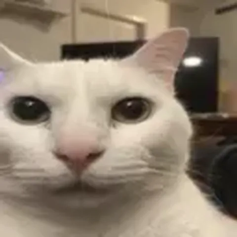 Анимация с белым котом, на которого надвигается тьма