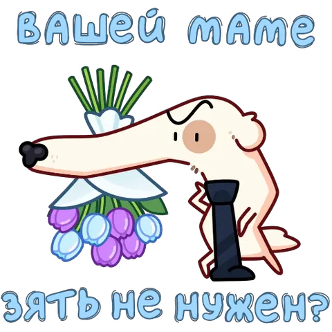 Белая мультяшная собака с длинной мордой держит букет фиолетовых и голубых цветов, вокруг надпись «Вашей маме зять не нужен?».