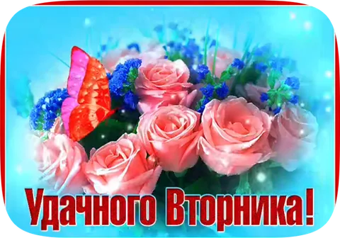 Букет розовых роз с синими цветами и бабочкой, на фоне голубые искры, внизу красная надпись «Удачного Вторника!»