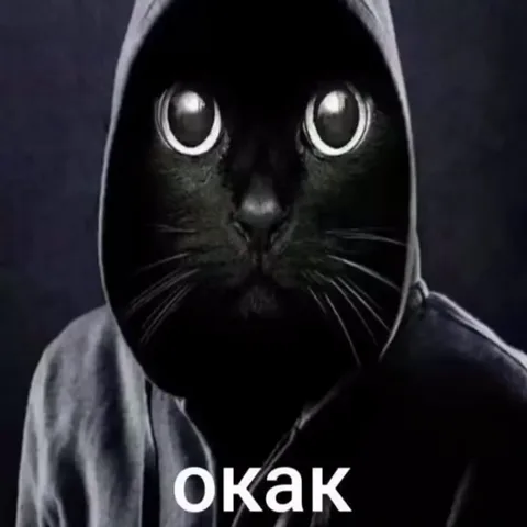 Анимация с чёрным котом в капюшоне и подписью «окак»