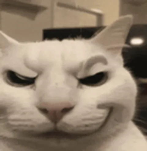 Крупный план морды белого кота, который смешно высовывает язык на камеру.