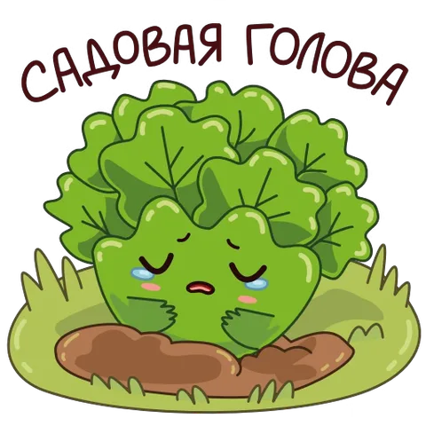 Анимированная капуста с грустным лицом и слезами на глазах, надпись «садовая голова».