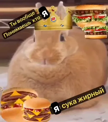 Крупный пушистый кролик сидит неподвижно, поверх него добавлены стикеры: корона с логотипом Burger King, несколько гамбургеров и надписи «Ты вообще кто» и «Я сука жирный».