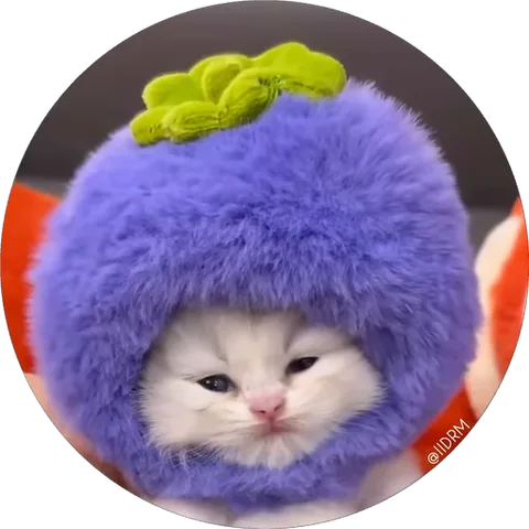 Белый котёнок в шапке-чернике моргает.