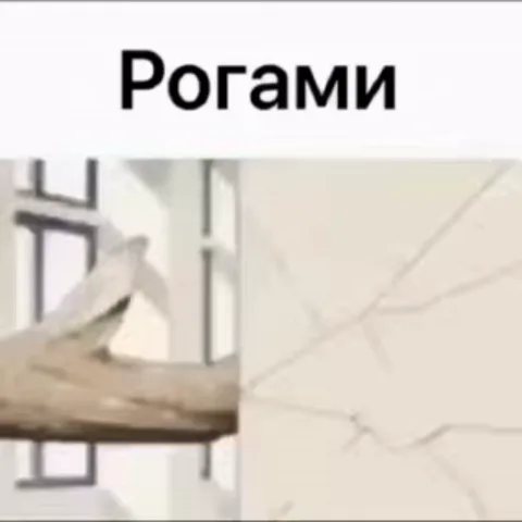 Аниме-персонаж с рогами пробивает стену в классе, после чего смеётся.